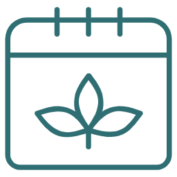 Forest Healing Sessions